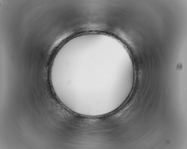 X0000089941309200707271810