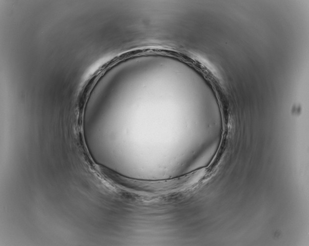 X0000089941310200707271810