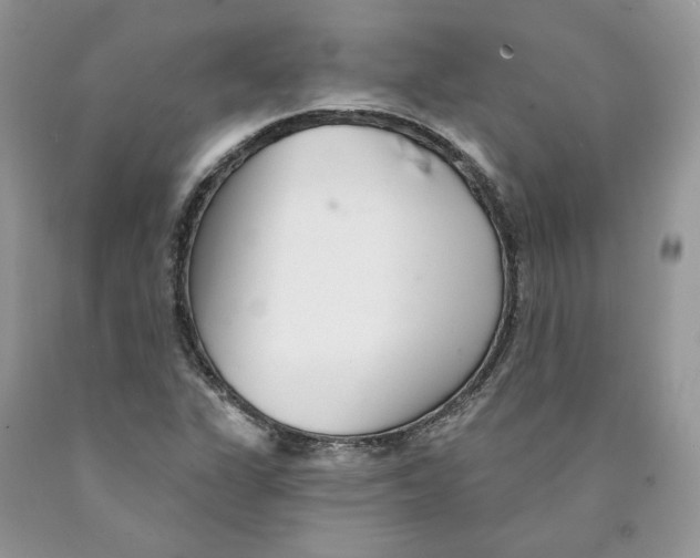 X0000089941311200707271810