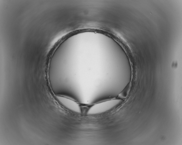 X0000089941312200707271810