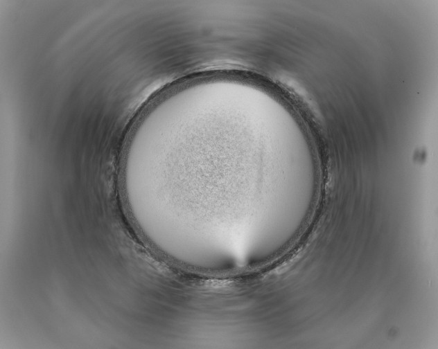 X0000089941313200707271810
