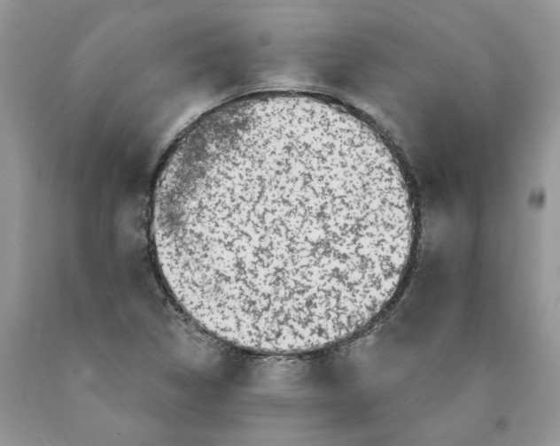 X0000089941314200707271810