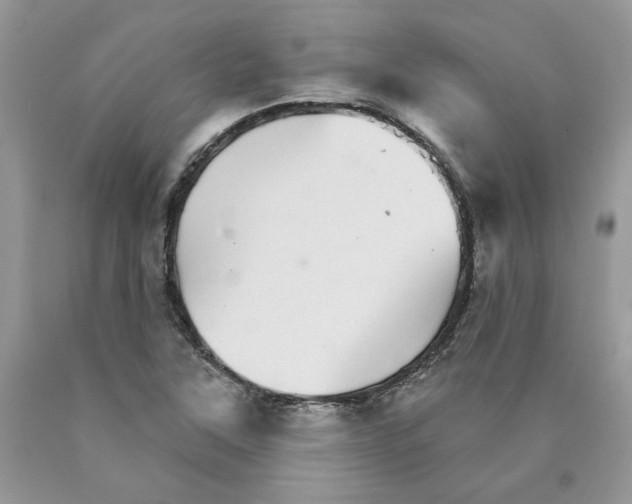 X0000089941315200707271810