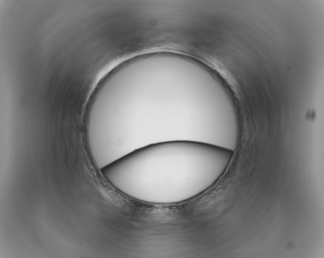X0000089941316200707271810