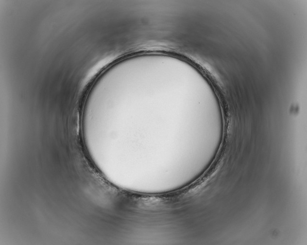 X0000089941317200707271810