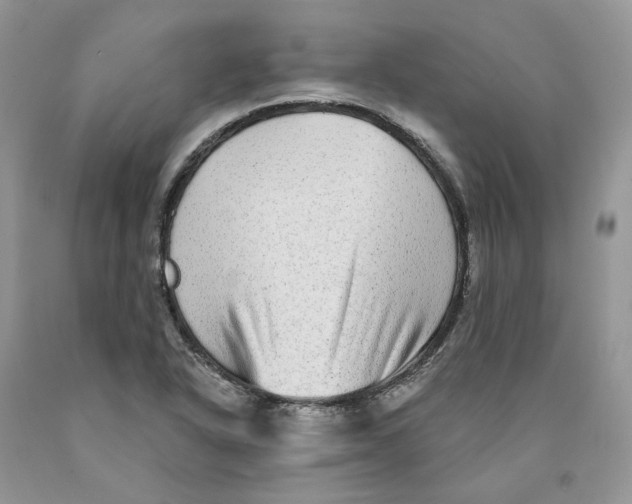 X0000089941318200707271810