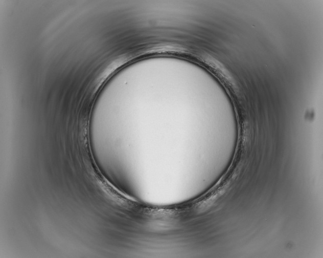X0000089941321200707271810