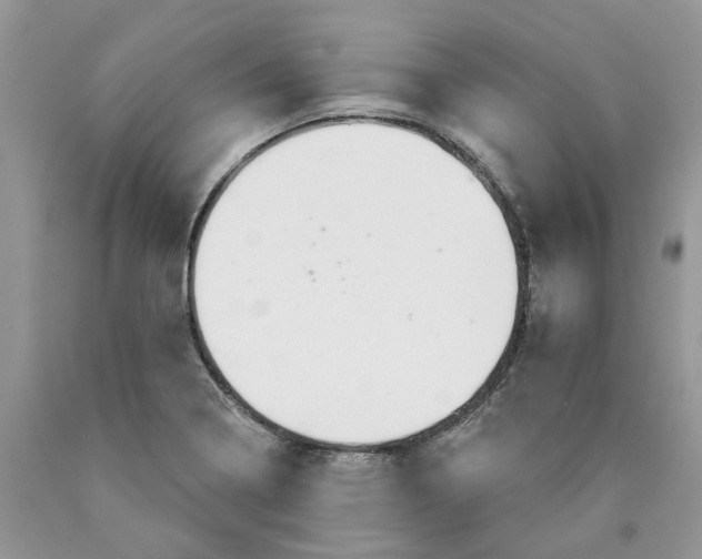 X0000089941322200707271810