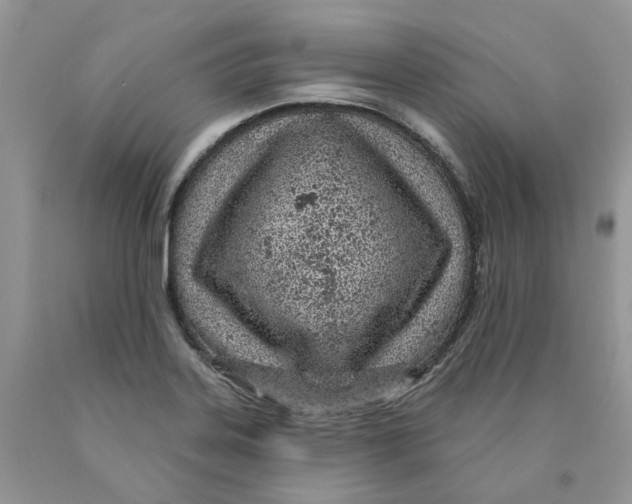 X0000089941323200707271810