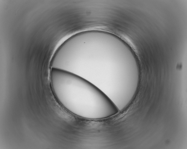 X0000089941324200707271810