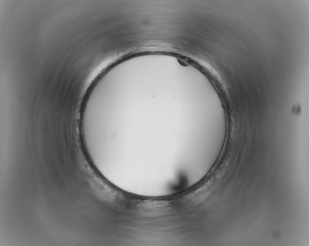 X0000089941325200707271810