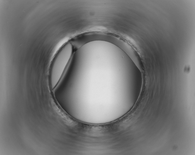 X0000089941326200707271810