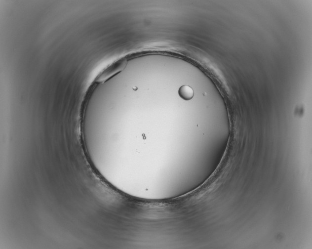 X0000089941328200707271810