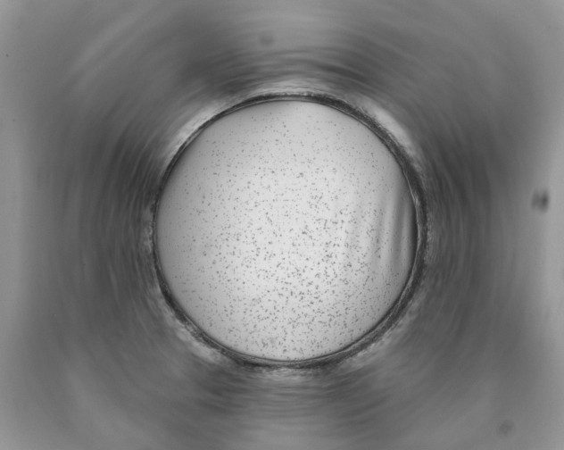 X0000089941329200707271810