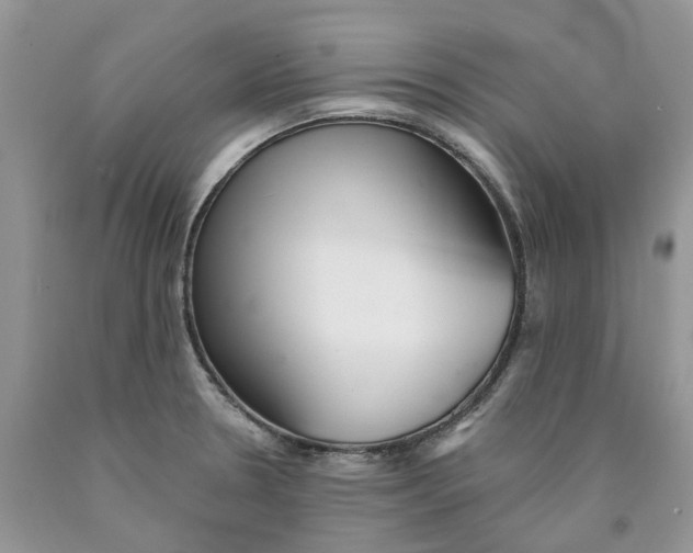 X0000089941330200707271810