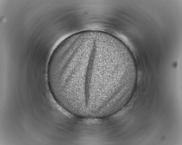 X0000089941331200707271810