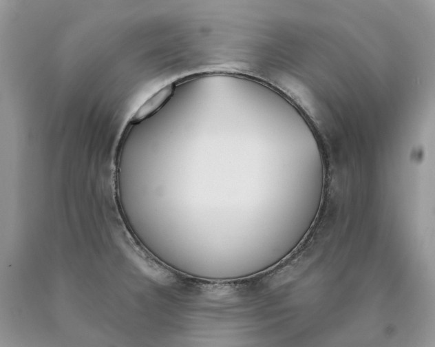X0000089941332200707271810