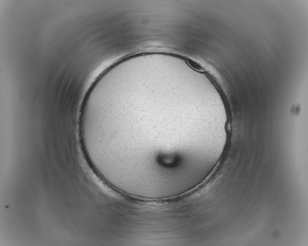 X0000089941333200707271810