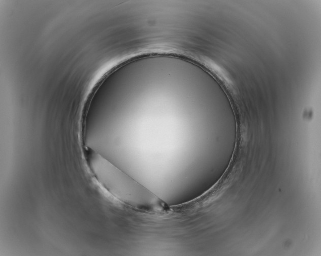 X0000089941334200707271810