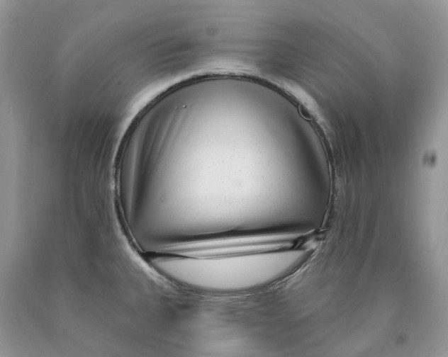 X0000089941335200707271810