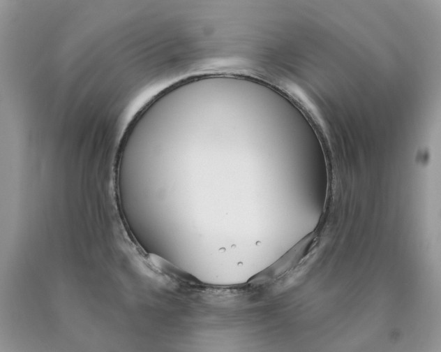 X0000089941336200707271810