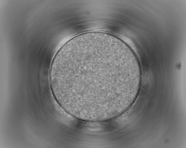 X0000089941338200707271810