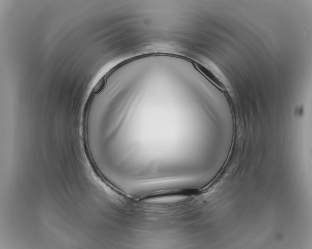 X0000089941339200707271810