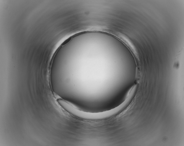 X0000089941340200707271810