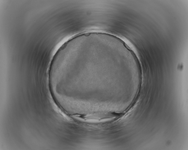 X0000089941341200707271810