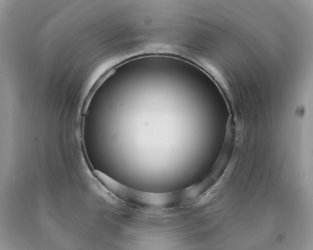 X0000089941342200707271810