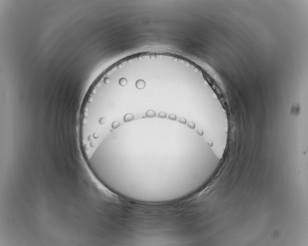 X0000089941343200707271811