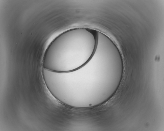 X0000089941344200707271811