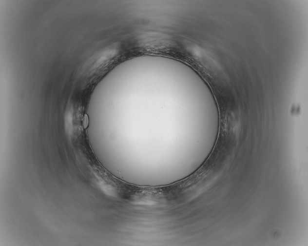 X0000089941346200707271810
