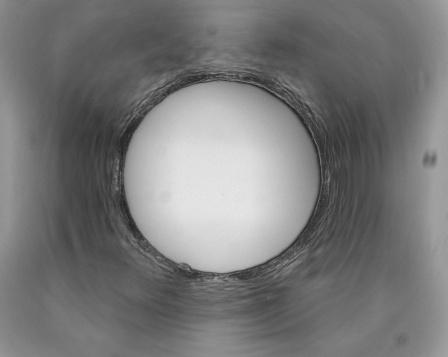 X0000089941348200707271810