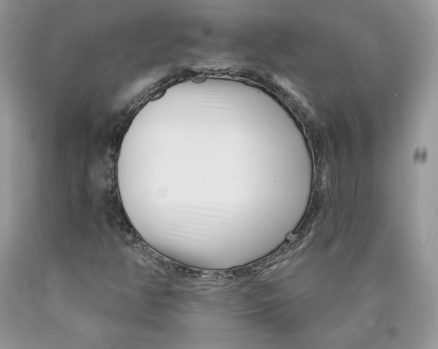 X0000089941350200707271810