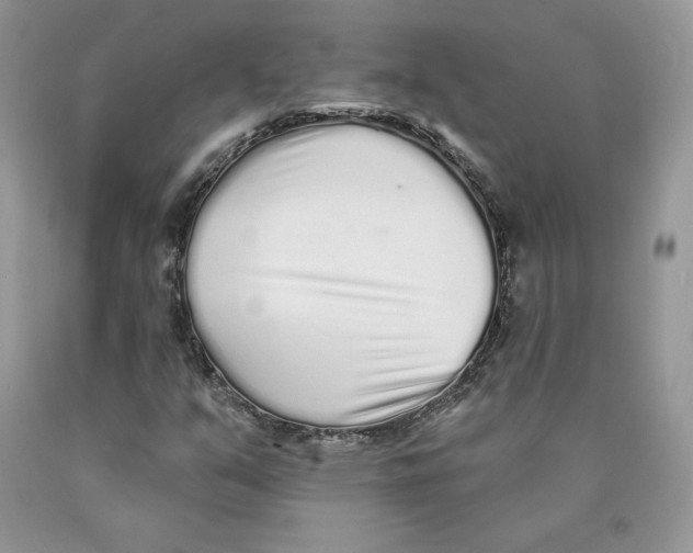 X0000089941351200707271810
