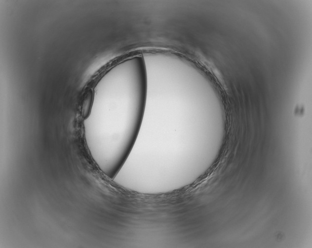 X0000089941352200707271810