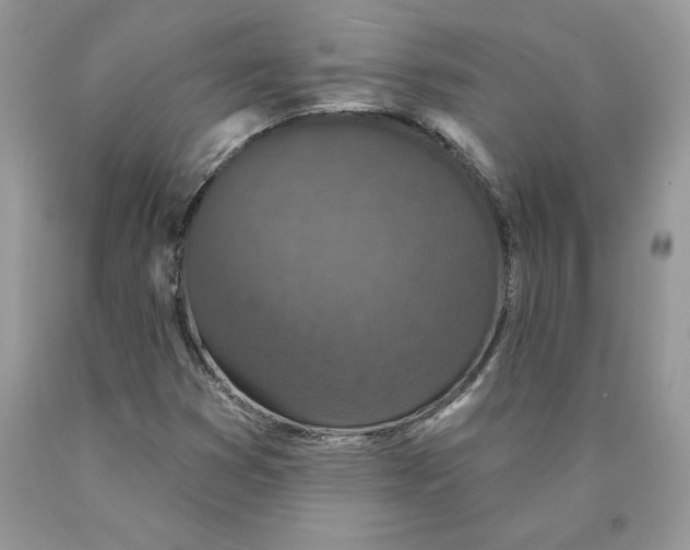 X0000089941353200707271810