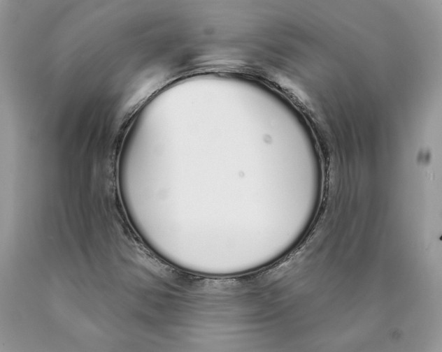X0000089941354200707271810