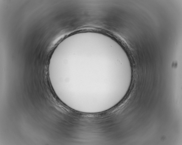 X0000089941355200707271810