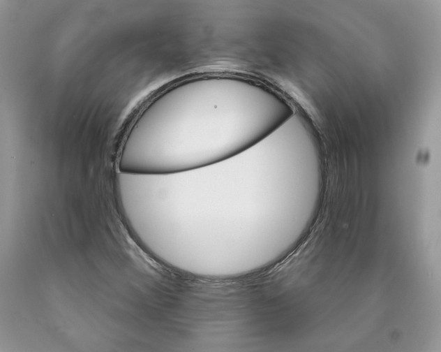 X0000089941356200707271810