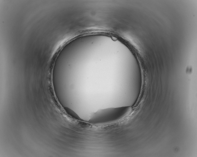 X0000089941357200707271810
