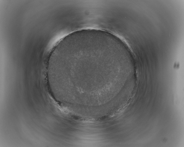 X0000089941359200707271810