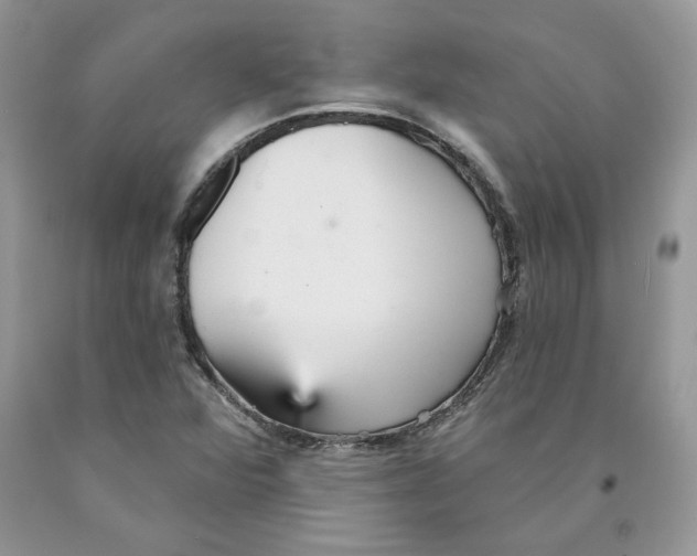 X0000089941360200707271810