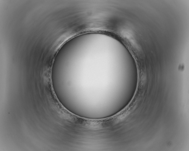 X0000089941361200707271810