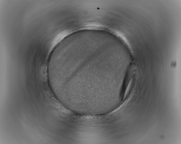 X0000089941362200707271810