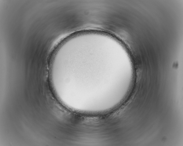 X0000089941363200707271810