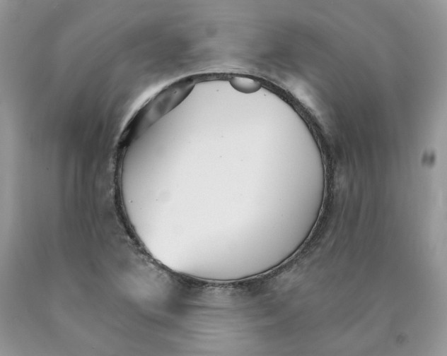 X0000089941364200707271810