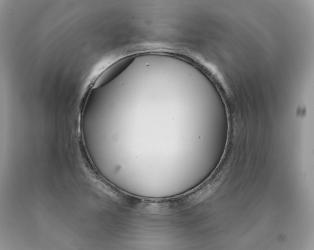 X0000089941365200707271810
