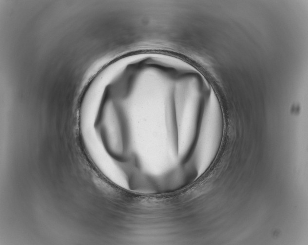 X0000089941366200707271810
